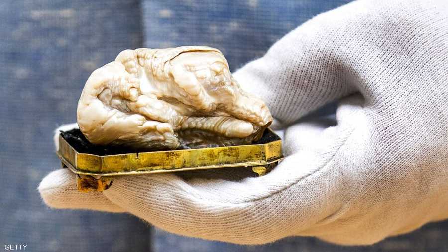 في مايو، بيع "الأسد النائم" أكبر لآلئ المياه العذبة بالعالم