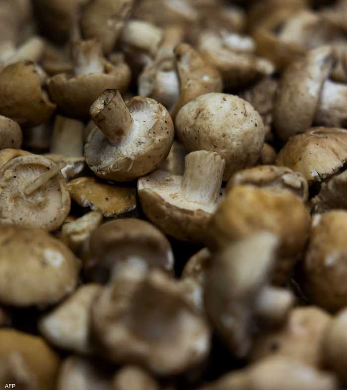 تساهم الألياف الموجودة في الفطر في تقليل التهابات الرئة