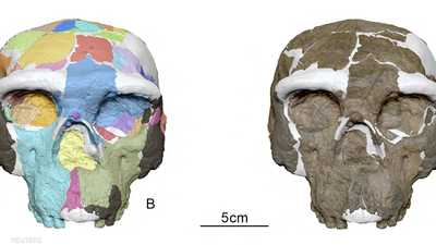 جمجمة عمرها مليون سنة تكشف أسرارا جديدة عن الإنسان