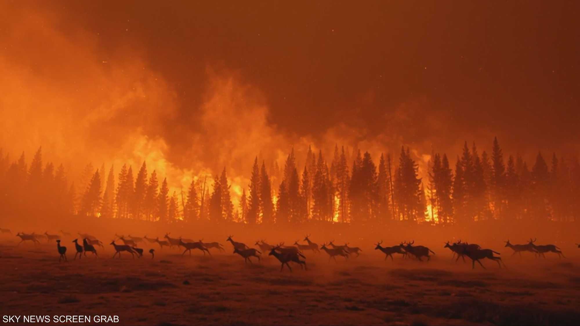 تغيّر سلوك الحيوانات يكشف خللًا في التوازن البيئي