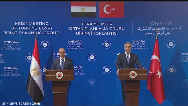 وزيرا الخارجية التركي والمصري يجريان في أنقرة مباحثات