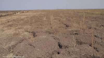 السودان.. الحرب تجر بلد الزراعة إلى دوامة الجوع