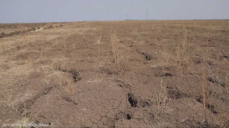 السودان.. الحرب تجر بلد الزراعة إلى دوامة الجوع