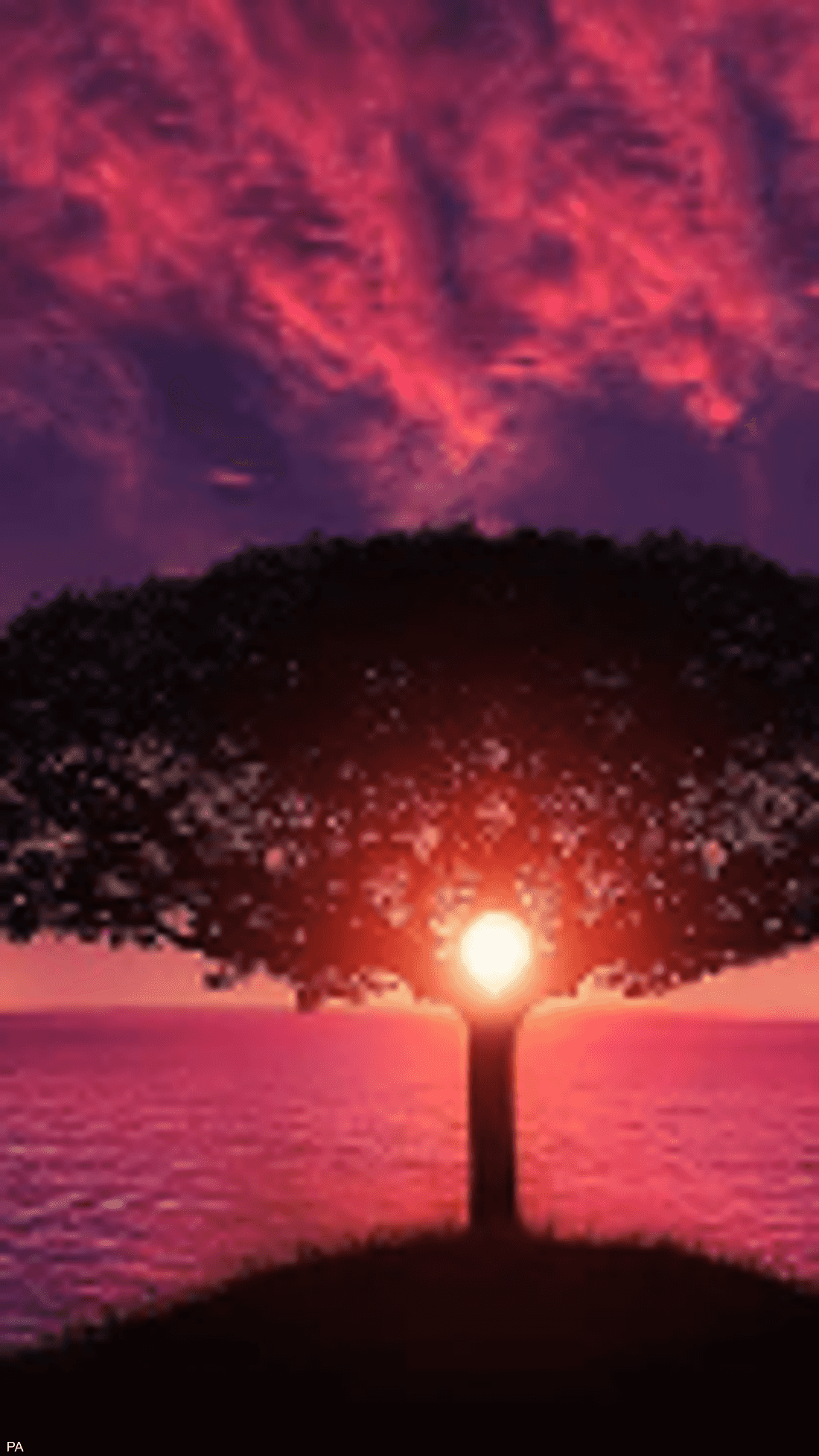 سكاى نيوز عربية اختبار