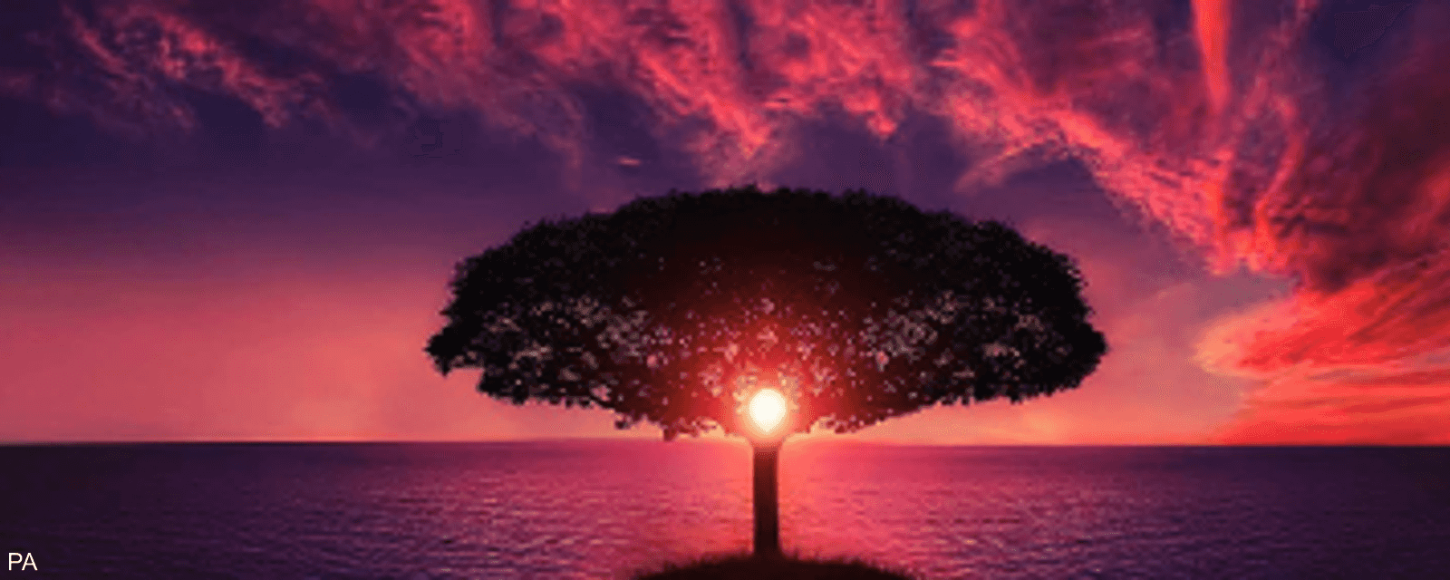 سكاى نيوز عربية اختبار