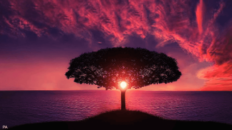 سكاى نيوز عربية اختبار