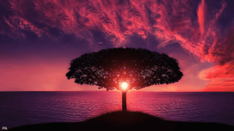 سكاى نيوز عربية اختبار