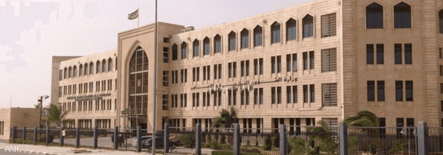 تحرك موريتاني للإفراج عن مواطنيها في مالي