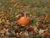 test123