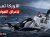 الأوركا تعود لإغراق القوارب قبالة إسبانيا